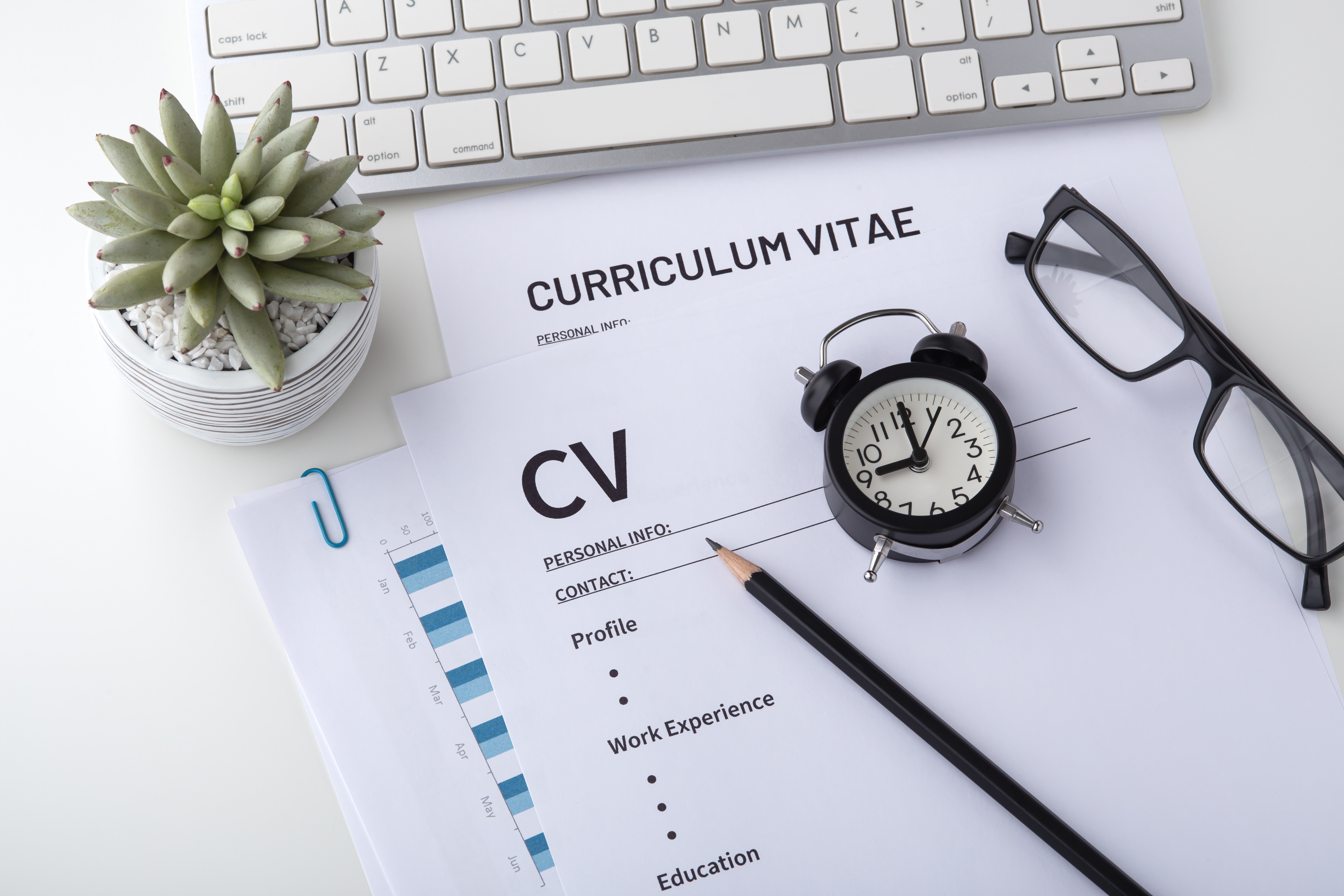 Mastering CV Writing