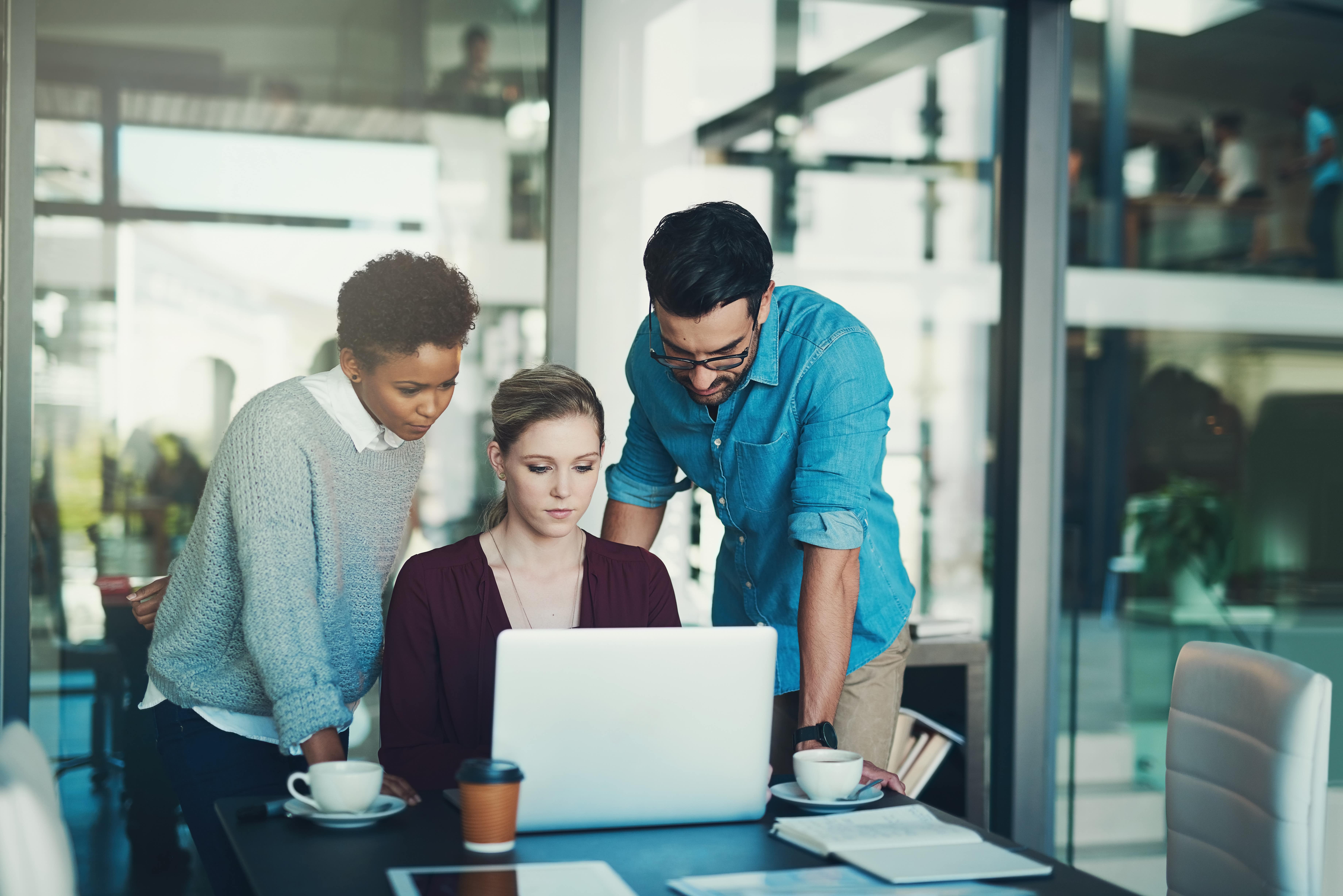 Entering the Workforce: From Study to Full-Time Work